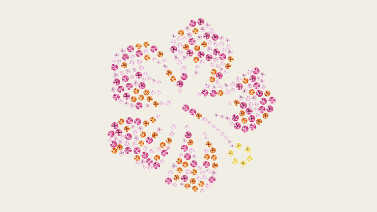 Image without a name  Image without a name