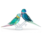 swarovski fife fifer jungle beats