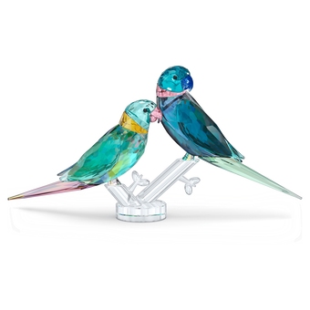 swarovski fife fifer jungle beats