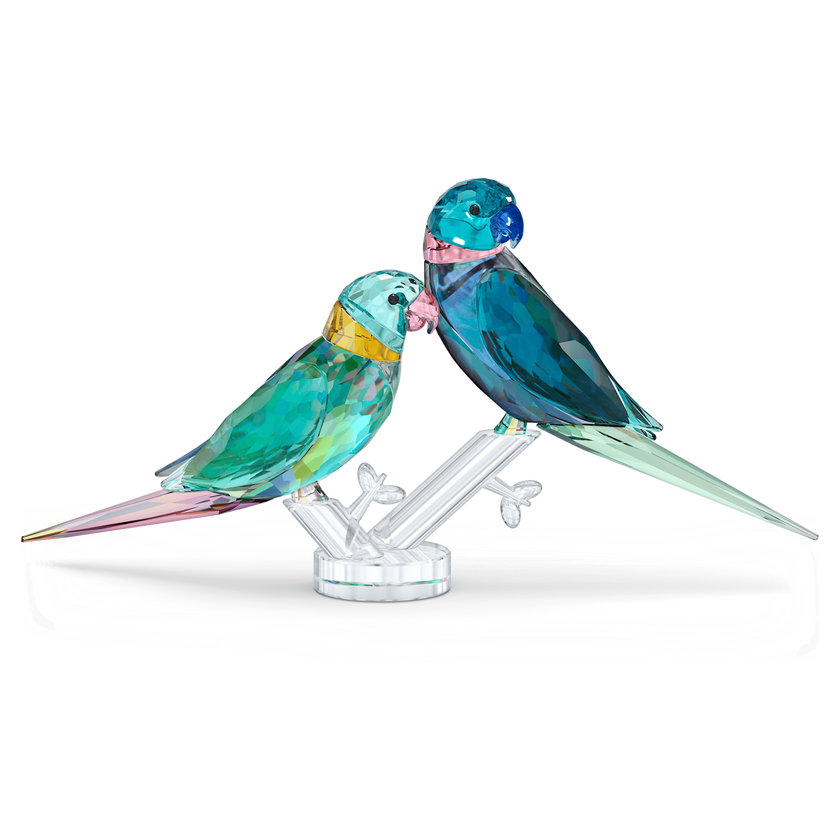 swarovski قطعة زينة fife   fifer بتصميم زوج من ببغاوات الباراكيت من jungle beats