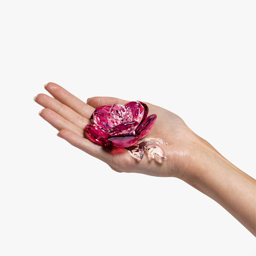 swarovski قطعة زينة crystal flowers على شكل زهرة فاوانيا