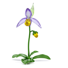 swarovski مجسم زهرة أوركيد حذاء السيدة، مجموعة florere