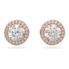 swarovski una angelic
