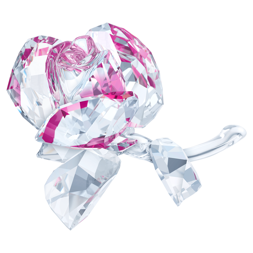 swarovski قطعة زينة in the secret garden على شكل وردة متفتحة