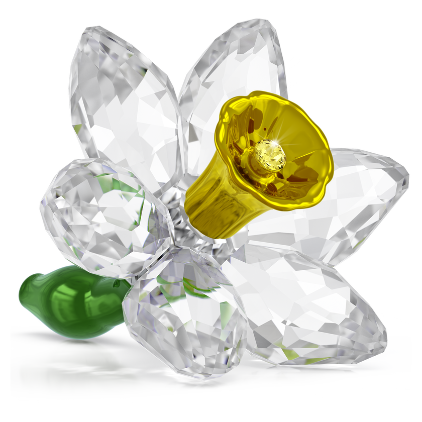 swarovski مجسم زهرة النرجس، مجموعة florere