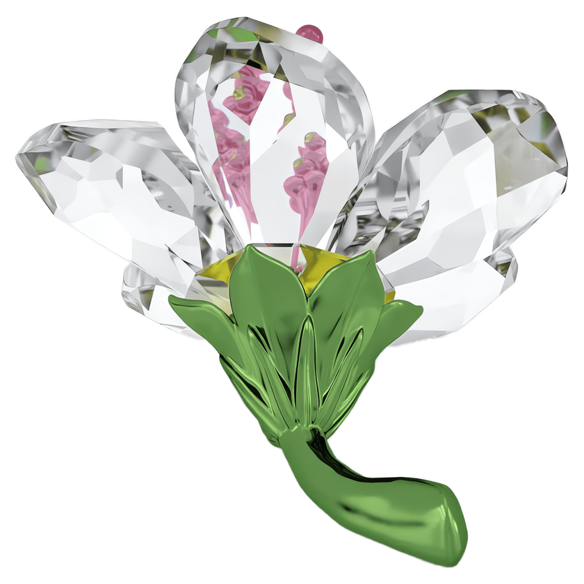 swarovski قطعة زينة على شكل زهرة hibiscus من مجموعة florere، حجم صغير
