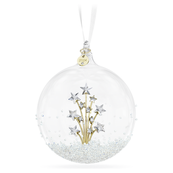 swarovski annual edition 2024
