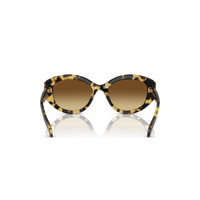 swarovski نظارة شمسية، شكل كات آي، sk6008el، لون بني