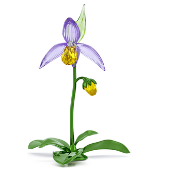 swarovski مجسم زهرة أوركيد حذاء السيدة، مجموعة florere