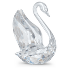 swarovski signum
