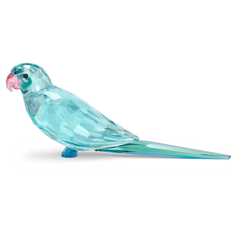 swarovski paco jungle beats