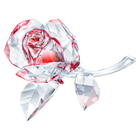 swarovski زينة شكل وردة blossoming rose، لون أحمر