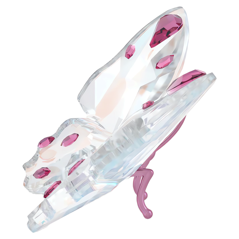 swarovski قطعة زينة على شكل فراشة من مجموعة idyllia، حجم صغير