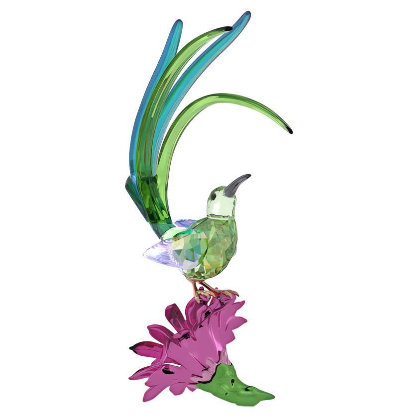swarovski مجسم طائر الحيقل وزهرة الصبار من مجموعة idyllia
